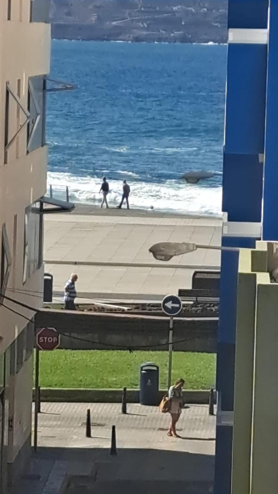 Bkd1 - Apartamento Entero A 50 Metros Playa De Las Canteras Las Palmas de Gran Canaria Dış mekan fotoğraf